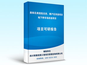 貴陽(yáng)項(xiàng)目可行性研究代寫 智服宏圖